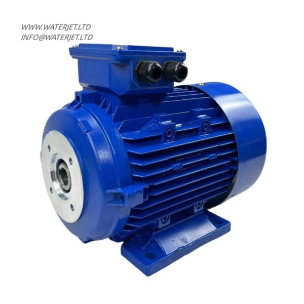 lisu motor 4/5.5 female shaft motor with EAC approve - Image 2