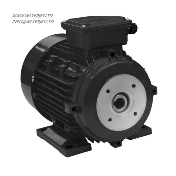 lisu motor 4/5.5 female shaft motor with EAC approve - Image 4